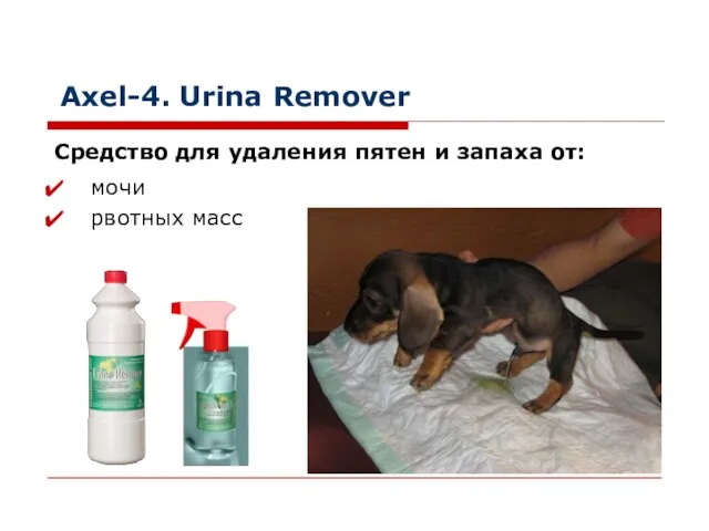 Axel-4. Urina Remover мочи рвотных масс Средство для удаления пятен и запаха от: