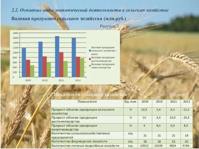2.2. Основные виды экономической деятельности в сельском хозяйстве Валовая продукция сельского хозяйства