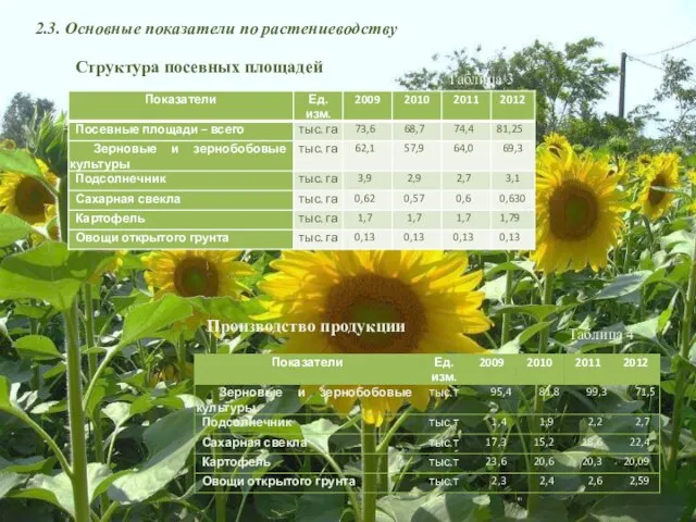 2.3. Основные показатели по растениеводству Структура посевных площадей Производство продукции Таблица 3 Таблица 4