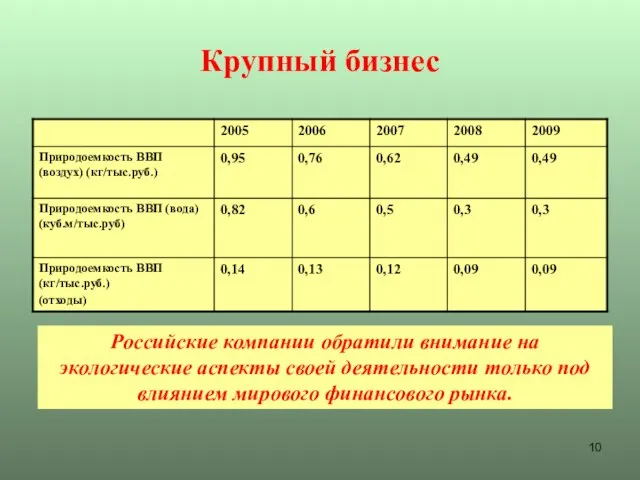 Крупный бизнес Российские компании обратили внимание на экологические аспекты своей деятельности только