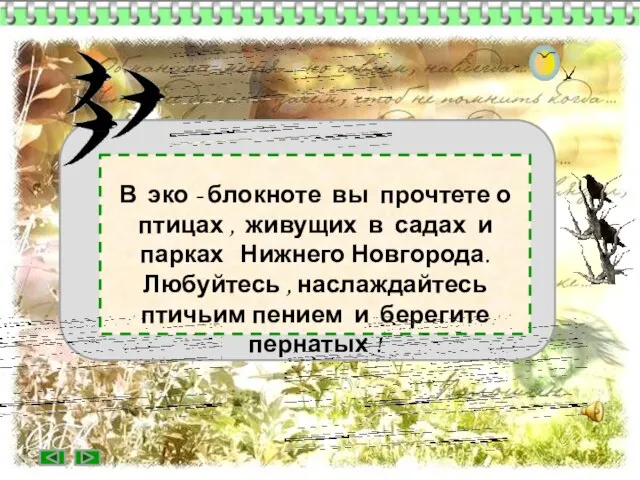 В эко - блокноте вы прочтете о птицах , живущих в садах