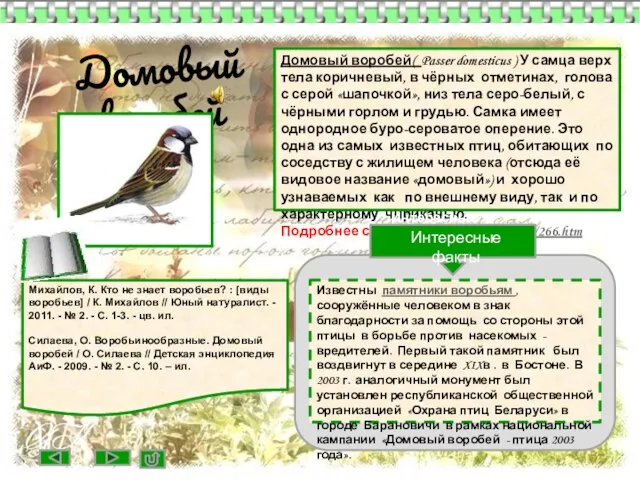 Домовый воробей Домовый воробей( Passer domesticus ) У самца верх тела коричневый,