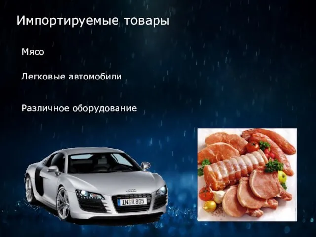 Импортируемые товары Мясо Легковые автомобили Различное оборудование