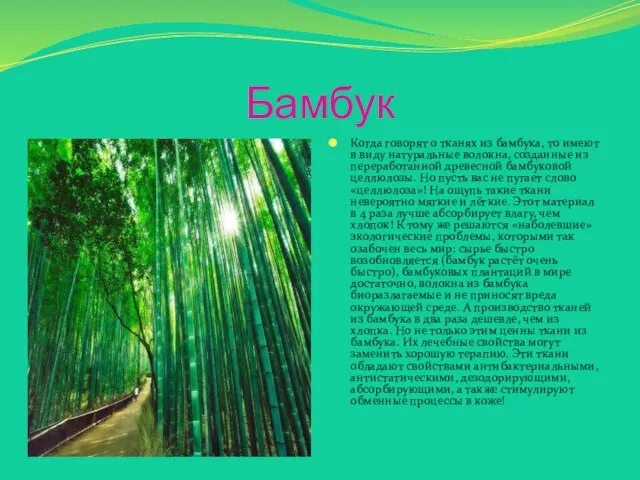 Бамбук Когда говорят о тканях из бамбука, то имеют в виду натуральные