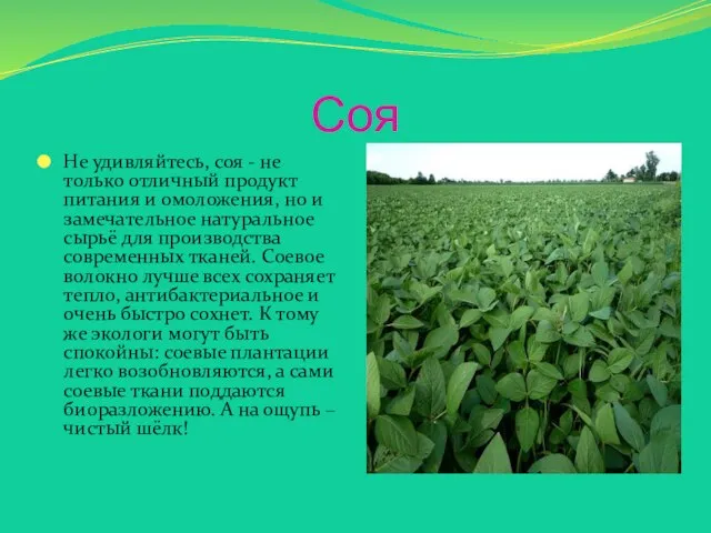 Соя Не удивляйтесь, соя - не только отличный продукт питания и омоложения,