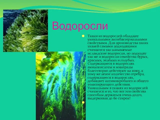 Водоросли Ткани из водорослей обладают уникальными антибактериальными свойствами. Для производства таких тканей