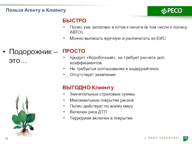 Польза Агенту и Клиенту Подорожник – это… БЫСТРО Полис уже заполнен и