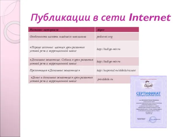 Публикации в сети Internet