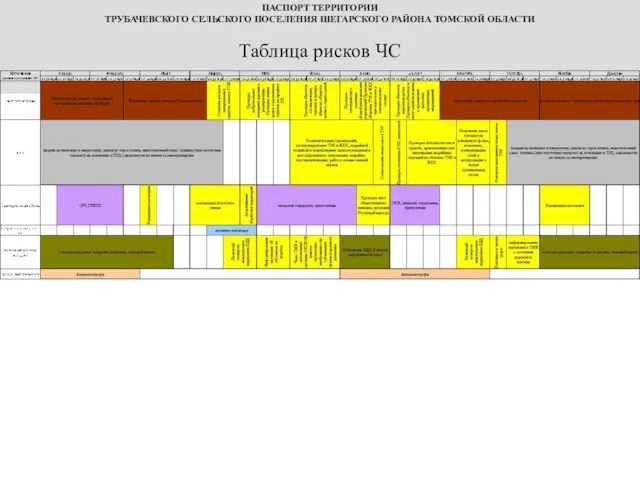 ПАСПОРТ ТЕРРИТОРИИ ТРУБАЧЕВСКОГО СЕЛЬСКОГО ПОСЕЛЕНИЯ ШЕГАРСКОГО РАЙОНА ТОМСКОЙ ОБЛАСТИ Таблица рисков ЧС