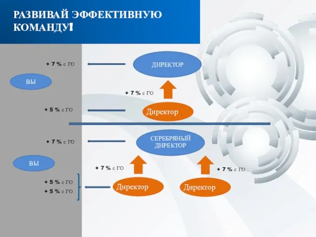 РАЗВИВАЙ ЭФФЕКТИВНУЮ КОМАНДУ! Директор ДИРЕКТОР + 7 % с ГО Директор СЕРЕБРЯНЫЙ