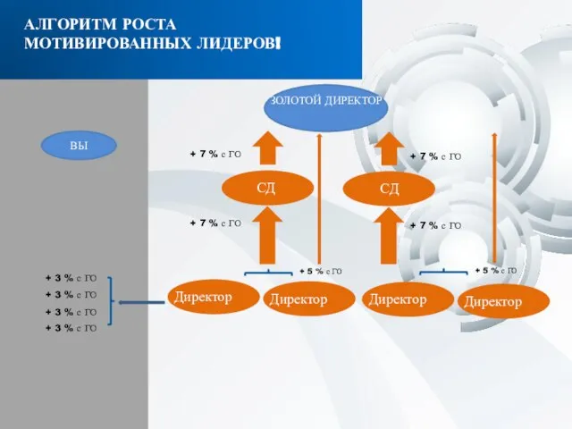 СД ЗОЛОТОЙ ДИРЕКТОР СД + 7 % с ГО + 7 %