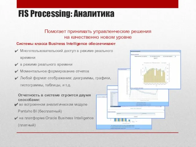FIS Processing: Аналитика Отчетность в системе строится двумя способами: во встроенном аналитическом