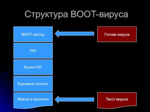 Структура BOOT-вируса ВООТ-сектор FAT Копия FAT Корневой каталог Файлы и каталоги Голова вируса Текст вируса