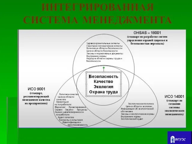 ИНТЕГРИРОВАННАЯ СИСТЕМА МЕНЕДЖМЕНТА