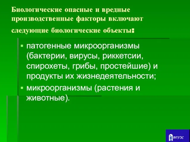 Биологические опасные и вредные производственные факторы включают следующие биологические объекты: патогенные микроорганизмы