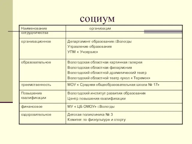 социум