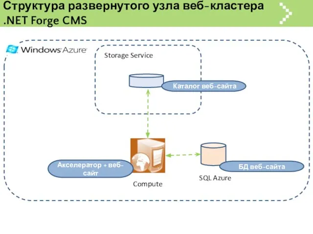 Структура развернутого узла веб-кластера .NET Forge CMS Каталог веб-сайта Акселератор + веб-сайт