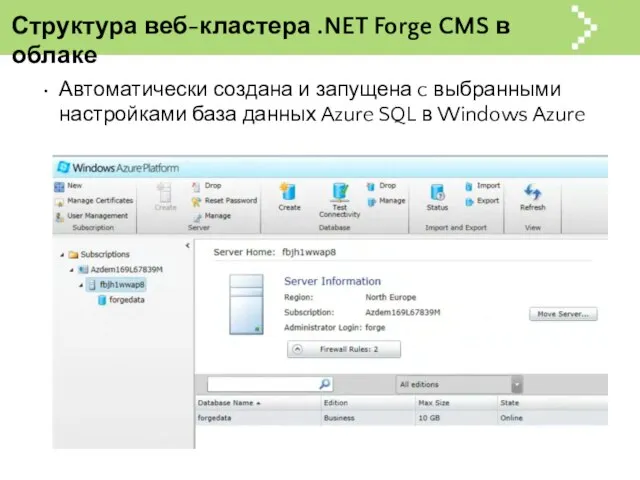 Структура веб-кластера .NET Forge CMS в облаке Автоматически создана и запущена c