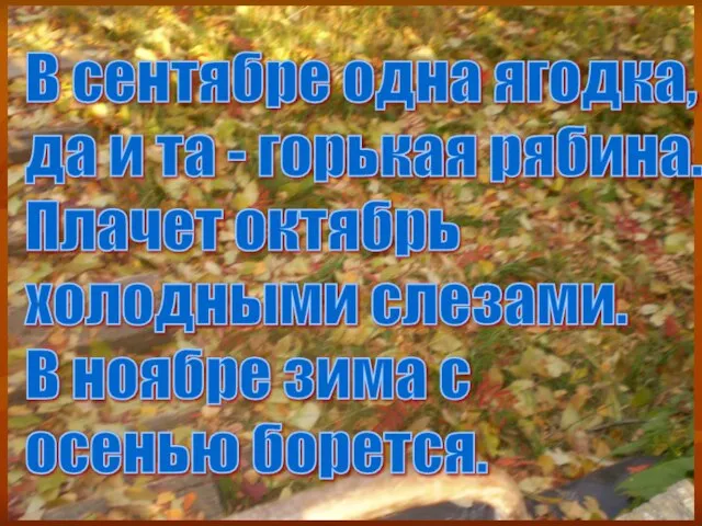 В сентябре одна ягодка, да и та - горькая рябина. Плачет октябрь