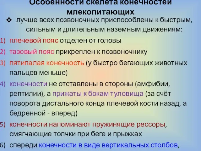 Особенности скелета конечностей млекопитающих лучше всех позвоночных приспособлены к быстрым, сильным и