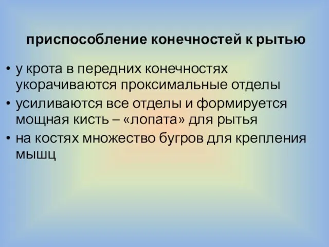 приспособление конечностей к рытью у крота в передних конечностях укорачиваются проксимальные отделы