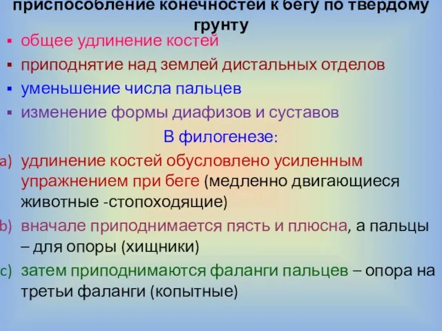 приспособление конечностей к бегу по твердому грунту общее удлинение костей приподнятие над