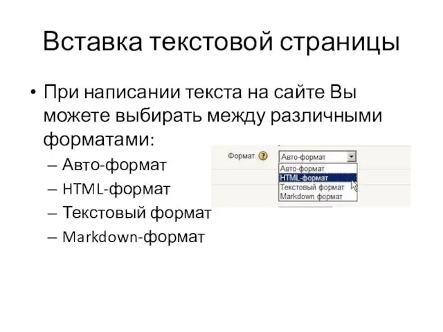 Вставка текстовой страницы При написании текста на сайте Вы можете выбирать между