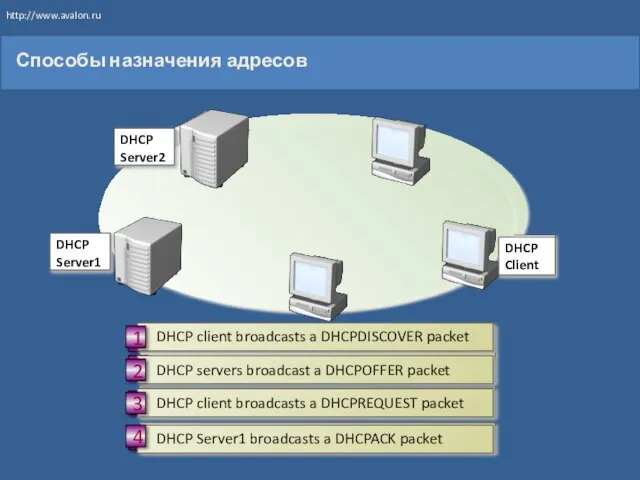 DHCP Client DHCP Server1 DHCP Server2 Способы назначения адресов http://www.avalon.ru