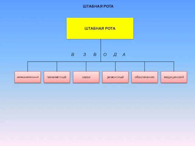 ШТАБНАЯ РОТА В З В О Д А ШТАБНАЯ РОТА разведывательный минометный связи ремонтный обеспечения медицинский