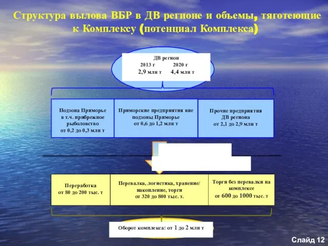 Структура вылова ВБР в ДВ регионе и объемы, тяготеющие к Комплексу (потенциал Комплекса) Слайд