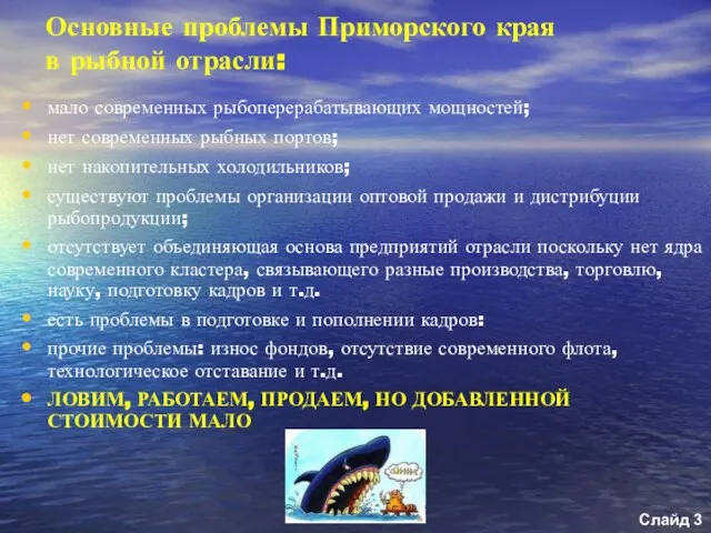 Основные проблемы Приморского края в рыбной отрасли: мало современных рыбоперерабатывающих мощностей; нет