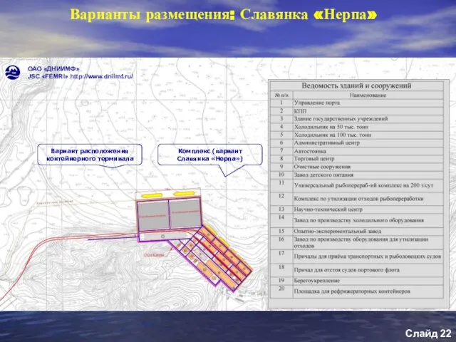 Варианты размещения: Славянка «Нерпа» Слайд