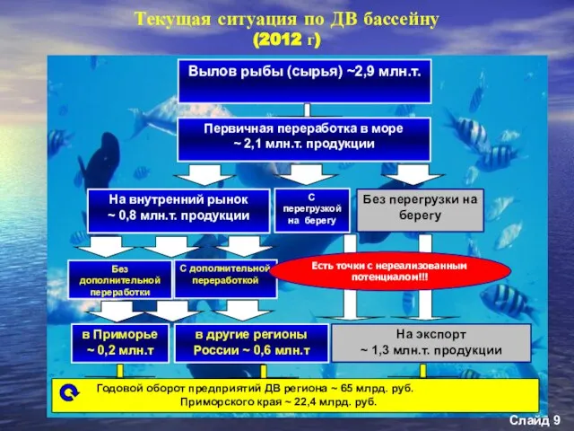 Текущая ситуация по ДВ бассейну (2012 г) Слайд Есть точки с нереализованным потенциалом!!!