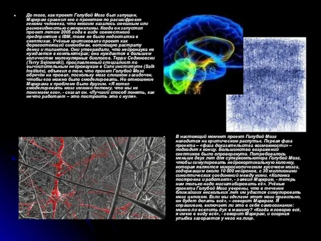 До того, как проект Голубой Мозг был запущен, Маркрам сравнил его с