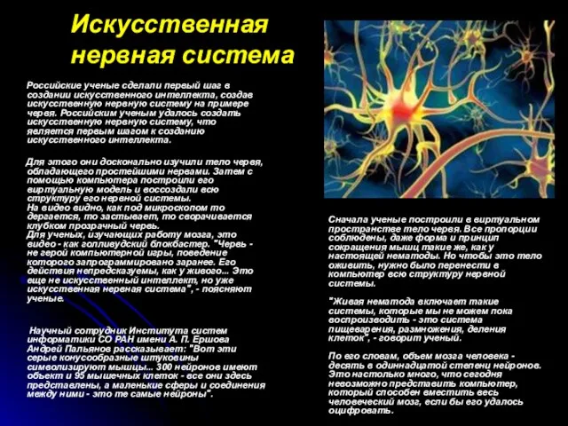 Искусственная нервная система Российские ученые сделали первый шаг в создании искусственного интеллекта,