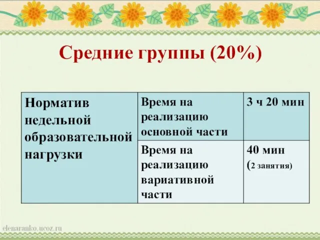 Средние группы (20%)