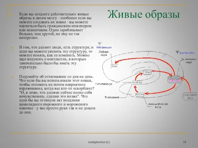 metapractice (c) Живые образы Если вы создаете действительно живые образы в своем