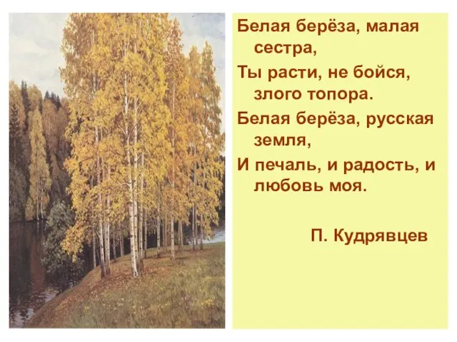 Белая берёза, малая сестра, Ты расти, не бойся, злого топора. Белая берёза,