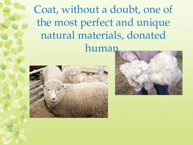 Coat, without a doubt, one of the most perfect and unique natural materials, donated human.