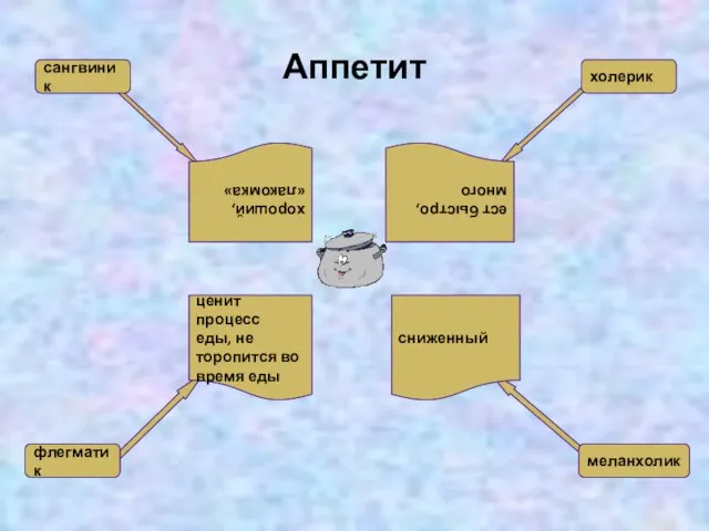 Аппетит сангвиник холерик флегматик меланхолик хороший, «лакомка» ест быстро, много сниженный ценит