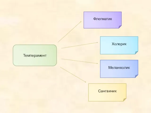 Темперамент Флегматик Холерик Меланхолик Сангвиник