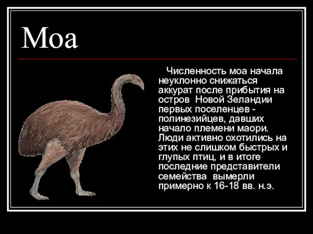 Моа Численность моа начала неуклонно снижаться аккурат после прибытия на остров Новой