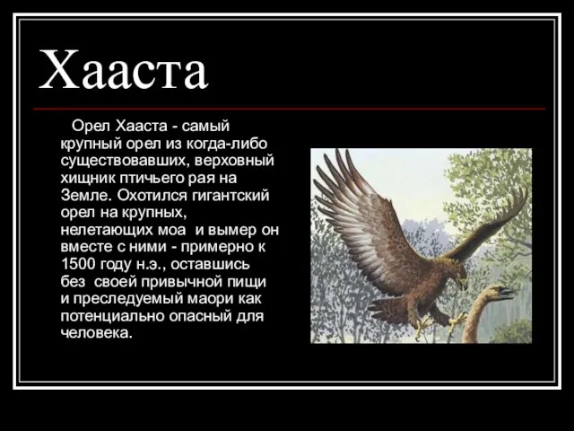 Хааста Орел Хааста - самый крупный орел из когда-либо существовавших, верховный хищник