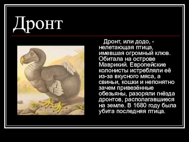 Дронт Дронт, или додо, - нелетающая птица, имевшая огромный клюв. Обитала на