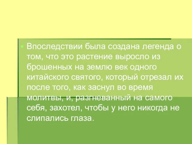 Впоследствии была создана легенда о том, что это растение выросло из брошенных