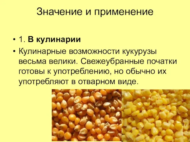 Значение и применение 1. В кулинарии Кулинарные возможности кукурузы весьма велики. Свежеубранные