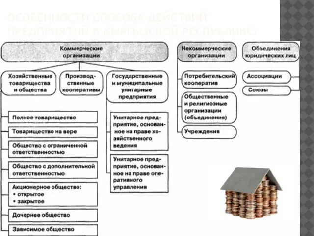 ОСОБЕННОСТИ СПОСОБА ДЕЙСТВИЙ ПРЕДПРИЯТИЙ В КЫРГЫЗСКОЙ РЕСПУБЛИКЕ: