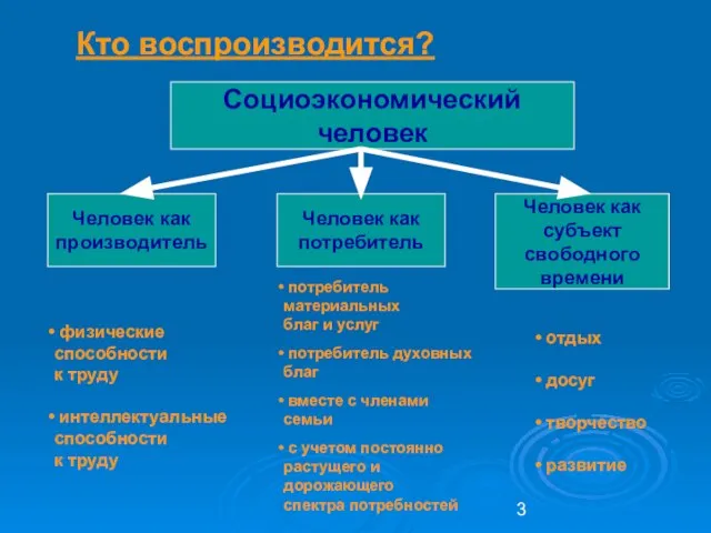 Кто воспроизводится? Социоэкономический человек Человек как производитель Человек как субъект свободного времени