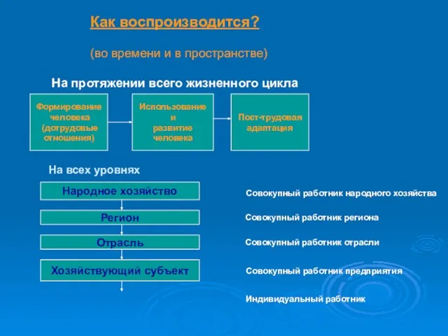 Как воспроизводится? (во времени и в пространстве) Формирование человека (дотрудовые отношения) Использование