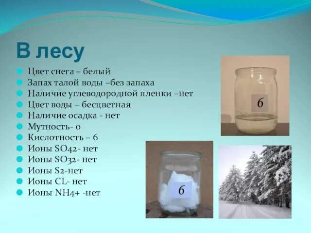 В лесу Цвет снега – белый Запах талой воды –без запаха Наличие